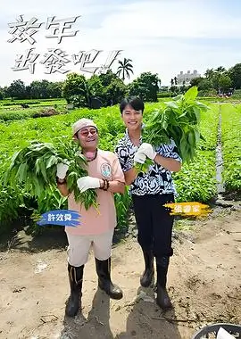 厨房风暴 综艺免费在线观看